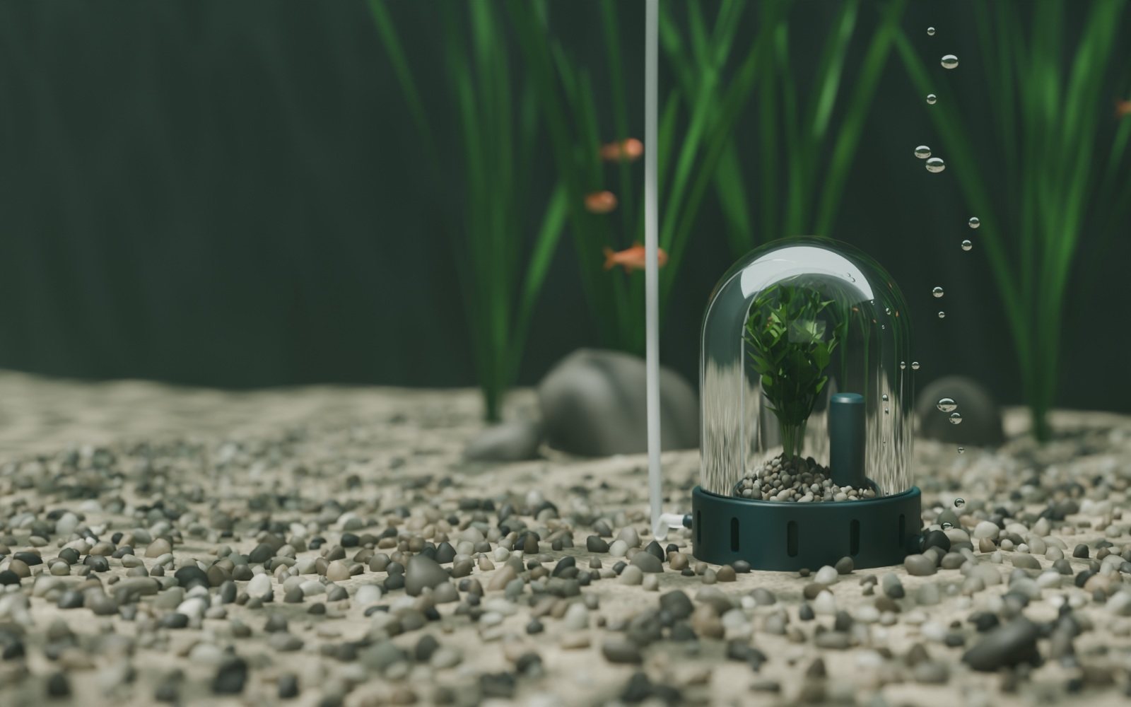 The Bubble running on the floor of a fish tank