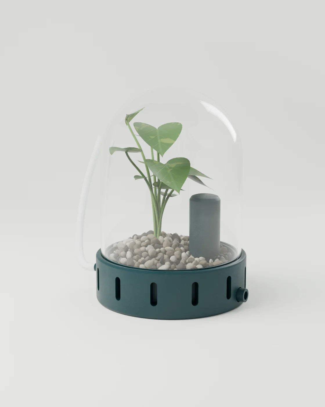 The Bubble with a small leafy plant inside